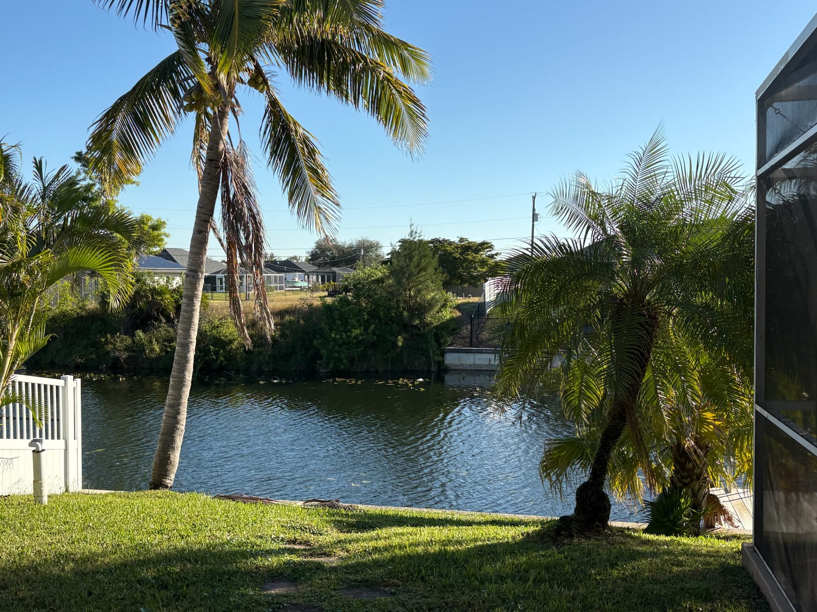 Cape Coral - Backyard canal with palm trees