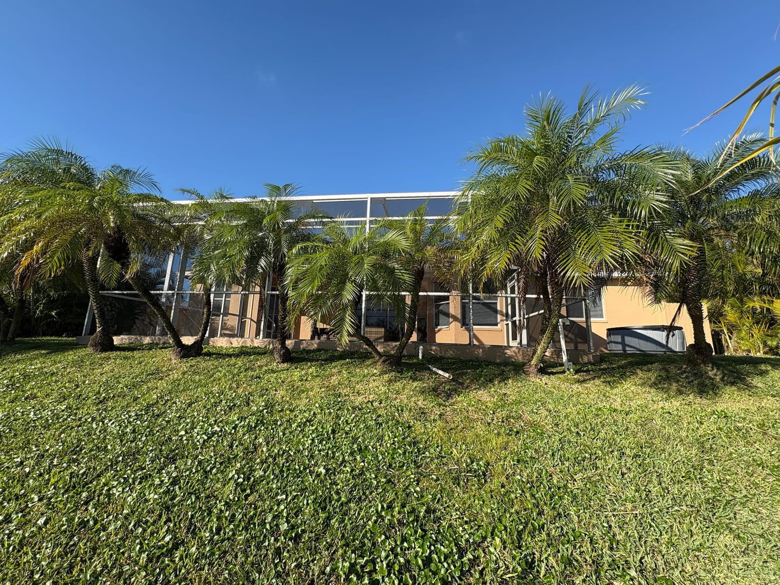 Cape Coral - Modern tropical home with palm trees