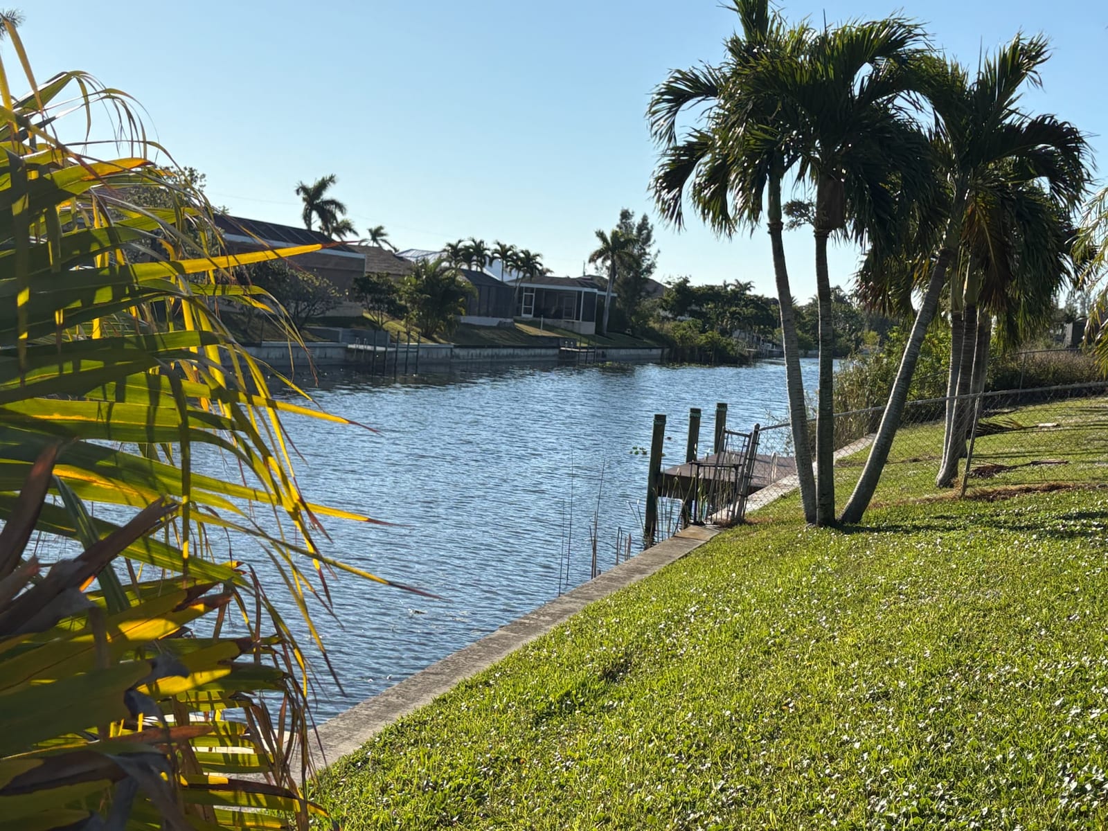 Cape Coral - Waterfront home with palm trees